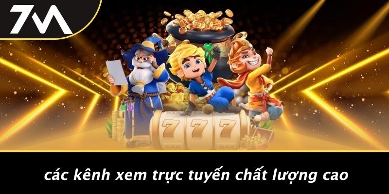 Các Kênh Xem Trực Tuyến Chất Lượng Cao