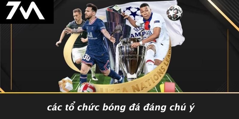 Các Tổ Chức Bóng Đá Đáng Chú Ý