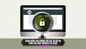 Cách kiểm tra chứng chỉ SSL và độ an toàn của một website cá cược.